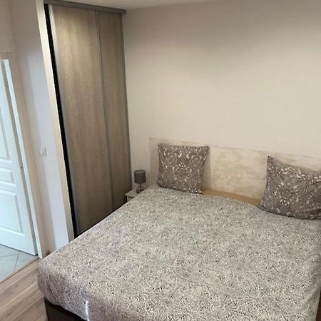 Appartement Oasis Proche De Lyon Groupama Lcdl Meyzieu Dış mekan fotoğraf